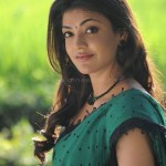 Actress-Kajal-Aggarwal-beautiful-stills-(5)flimnews.com