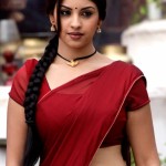 Osthi Richa Gangopadhyay Hot Photos in Red Saree
