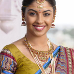 richa_gangopadhyay_wedding_saree_photos-flimnews.com