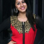 Nikki-Galrani-at-Darling-Movie-Press-Meet