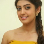 Pranitha Subhash Telugu Desi India Actress Images Stills
