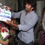 arya-anushka-inji-idupazhagi-stills