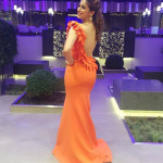 laxmi-rai_super-stills-siima-award