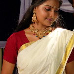 nandagi in kerala saree