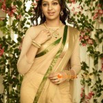 tamil-actress-lakshmi-menon-personal-pics