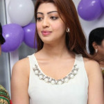 tamil-actress-pranitha-latest-images