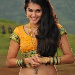 tapsee-in-half-saree-spicy-latest-stills