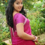 Actress-malavika-menon-beautiful-Saree-collections