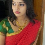 Actress-malavika-menon-wonderfull-Saree-photos
