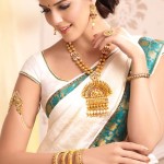 most-beautiful-sarees-wedding-bridal