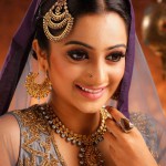 Actress-Namitha-Pramod-in-wedding-dress-photos