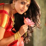Anushka-shetty-beautiful-snaps