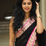 Kamna-Jethmalani-New-Spicy-Hot-Saree-Stills