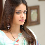 Sneha Ullal Cute saree stills