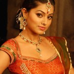 actress-sneha-in-wedding-dress