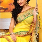 kriti-kharbanda-beautiful-saree-stills