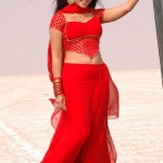 sneha-hot-spicy-navel-stills