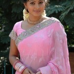 sneha-in-pink-saree-colorful-photos