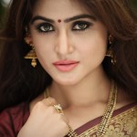 sony-charista-photo-shoot-in-saree