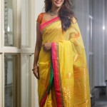 tamil-actress-priya-anand-beautiful-saree-photos