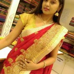 Actress Arundhati Silk Saree stills