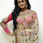 Karthika-Nair-hot-Navel-Photos