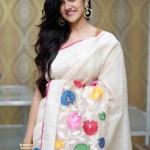 Simran-Choudhary-Cute-Saree-Stills