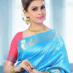Sri-Nikha-beautiful-saree-stills