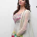 Actress Simran Kaur New Pictures 14
