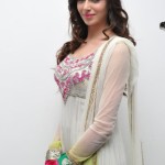 Actress Simran Kaur New Pictures 03
