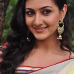 Neelam Upadhyay Saree Photos @ Tamasha Movie Launch