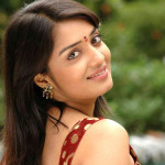 hot telugu actress nikitha thukral stills