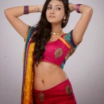 neelam-upadhyaya-spicy-photos