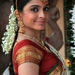 Sheena-Shahabadi-Beautiful-Saree-Stills