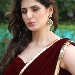 Zarine khan Cute Saree Stills