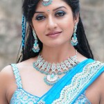 actress_vimala_raman_in_saree
