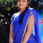 hot-malayalam-actress-vimala-raman-glamour-pics