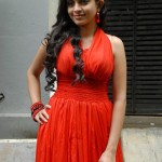 Sheena Shahabadi New Hot Photos Stills