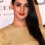 sonal-chauhan-at-Grazia-Young-Fashion-Awards-2014