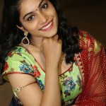 Punarnavi Bhupalam Cute Stills