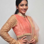 Punarnavi-Bhupalam-in-suridar-stills