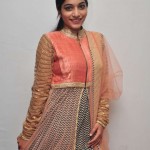 Telugu Actress Punarnavi-Bhupalam