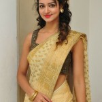 Shanvi Srivastava Beautiful Photos