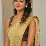 Shanvi-Srivastava-in-Saree-at-Harinath-Krishnaveni-Wedding-Reception