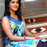 malavika-wales-pics-at-nandeesha-kannada-movie-press-meet