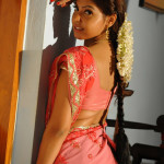 actress komal jha saree stills